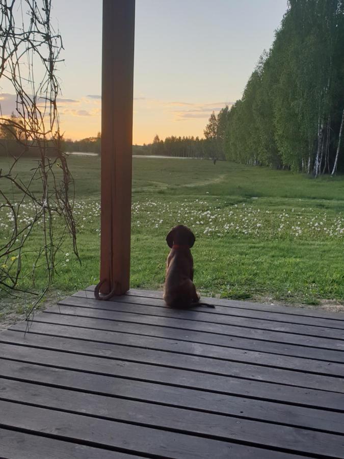 Ciche Podlasie Siemianowka Buitenkant foto