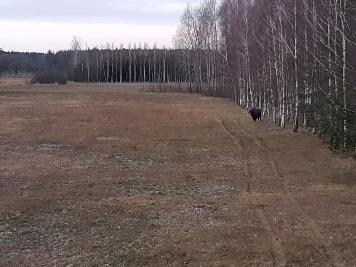 Ciche Podlasie Siemianowka Buitenkant foto