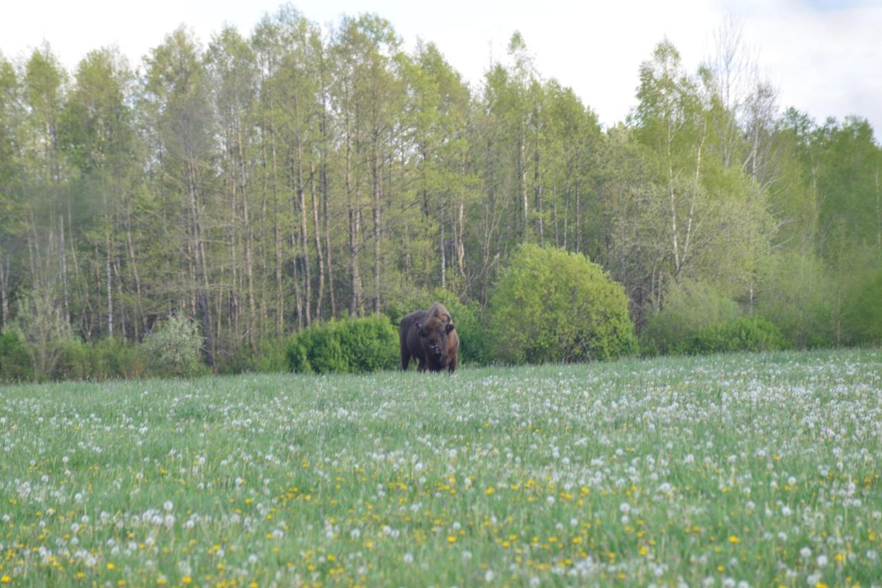 Ciche Podlasie Siemianowka Buitenkant foto