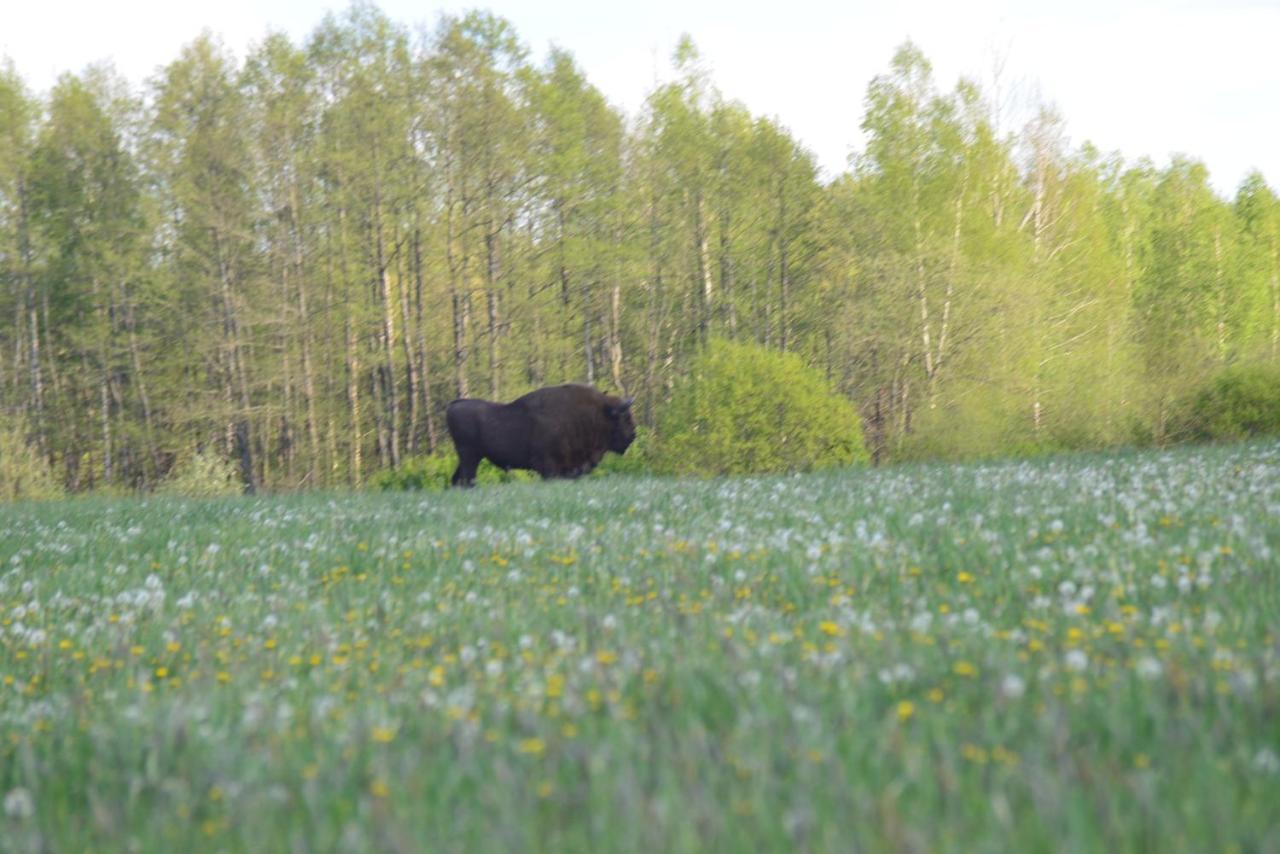 Ciche Podlasie Siemianowka Buitenkant foto